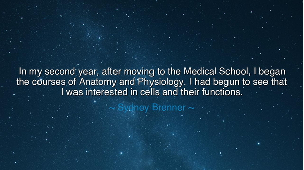 In my second year, after moving to the Medical School, I began