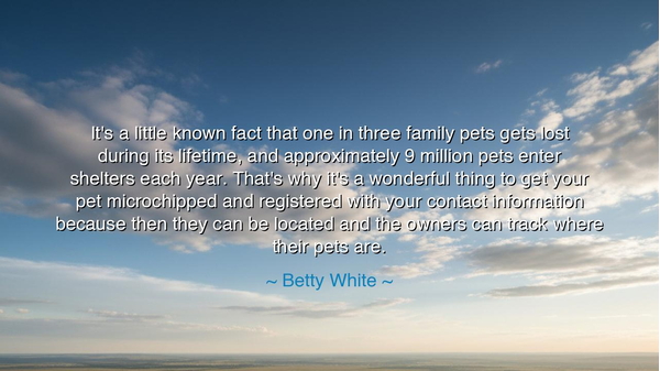 It's a little known fact that one in three family pets gets lost