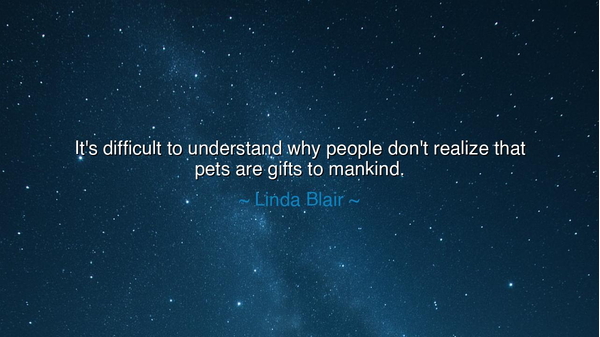 It's difficult to understand why people don't realize that pets