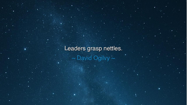 Leaders grasp nettles.