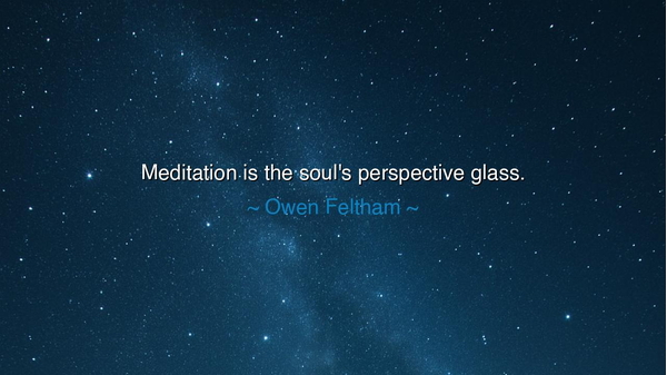 Meditation is the soul's perspective glass.