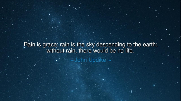 Rain is grace; rain is the sky descending to the earth; without