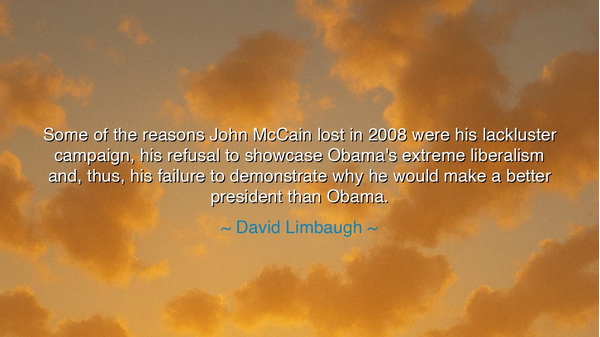 Some of the reasons John McCain lost in 2008 were his lackluster