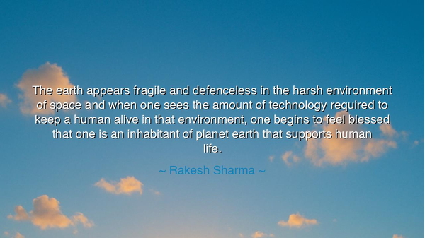 The earth appears fragile and defenceless in the harsh