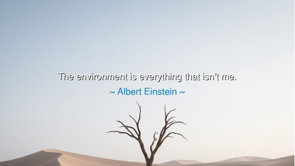 The environment is everything that isn't me.