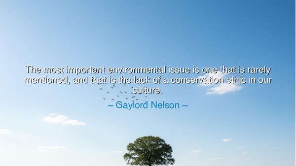 The most important environmental issue is one that is rarely