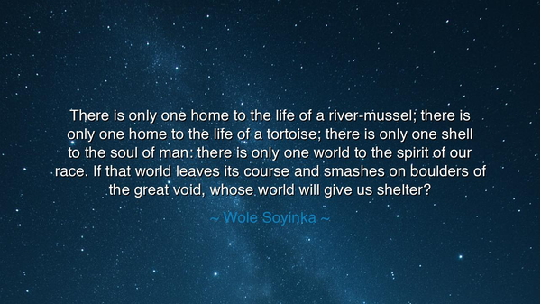 There is only one home to the life of a river-mussel; there is