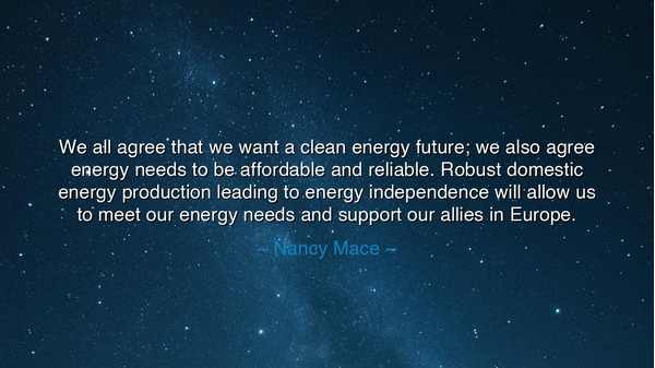 We all agree that we want a clean energy future; we also agree