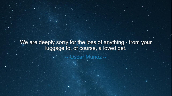 We are deeply sorry for the loss of anything - from your luggage