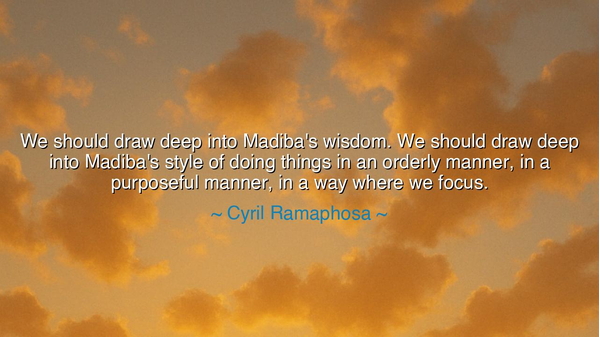 We should draw deep into Madiba's wisdom. We should draw deep