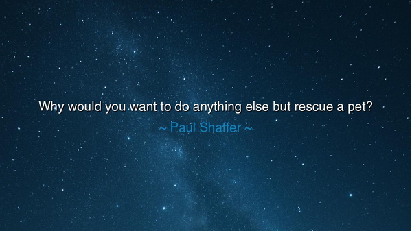 Why would you want to do anything else but rescue a pet?