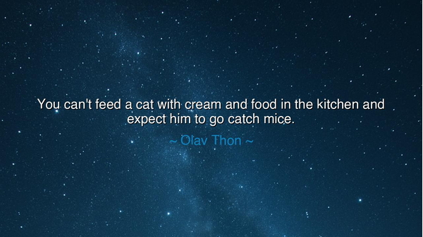 You can't feed a cat with cream and food in the kitchen and